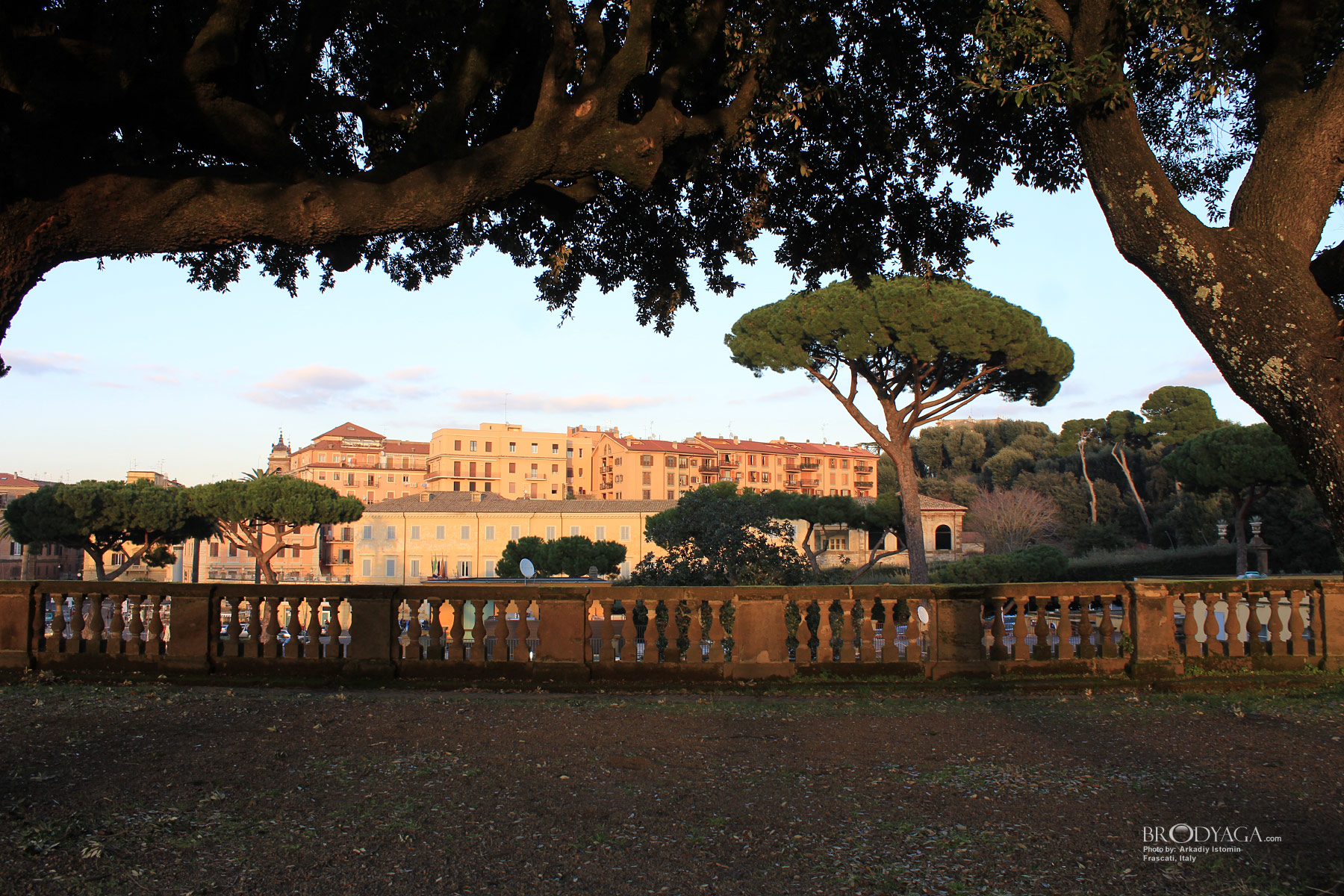 Frascati